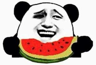 西安吃瓜群众免费吃瓜吗,免费瓜果盛宴，你来了吗？  第2张